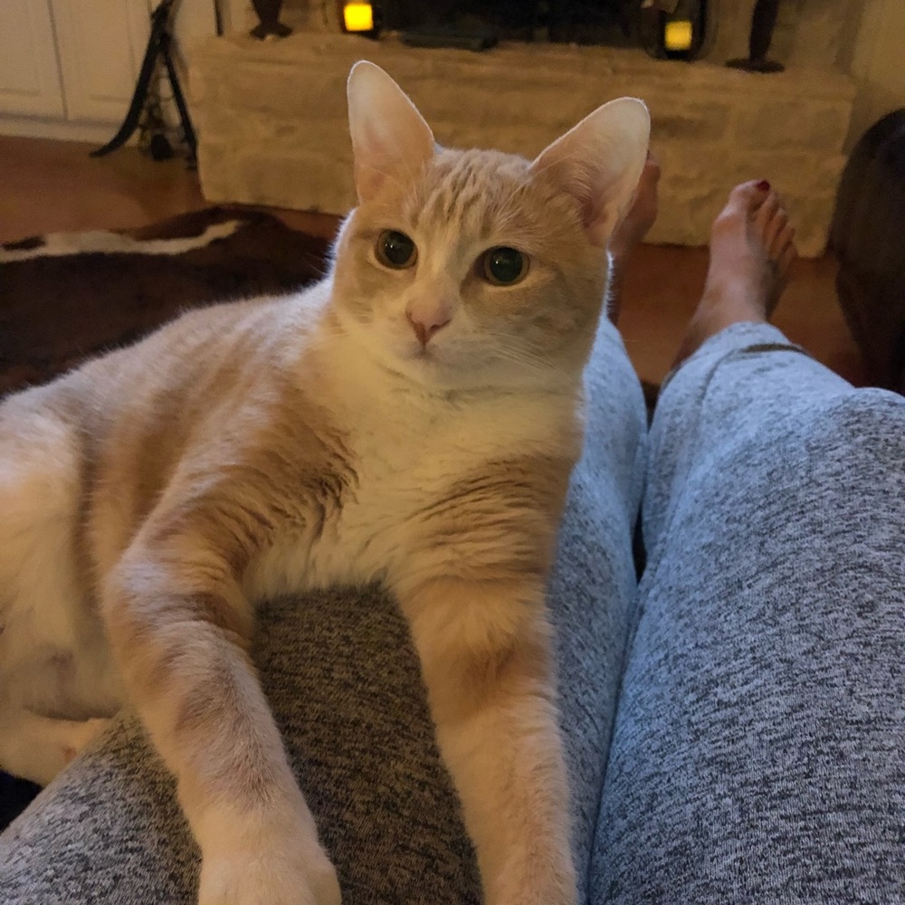 Meet your Posher, Jodi